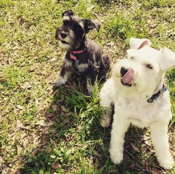 8. Best friends for life