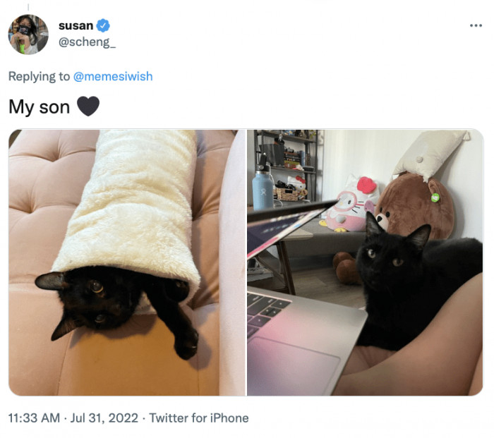 7. Her son is definitely living his best life with such a loving fur mom.