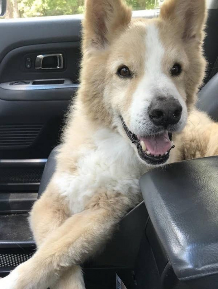 5. "Hard to believe that face is 15."