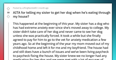 Reddit User Slammed By Family For Refusing To Take Care Of Sister's Destructive Dog