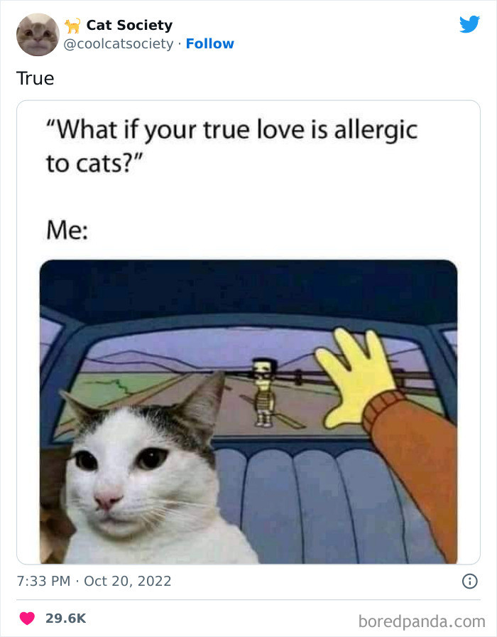 Meme-style cat and dog owners comparison, caption implies cat ownership is truer