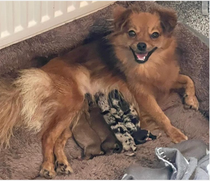 13. What a sweet smile