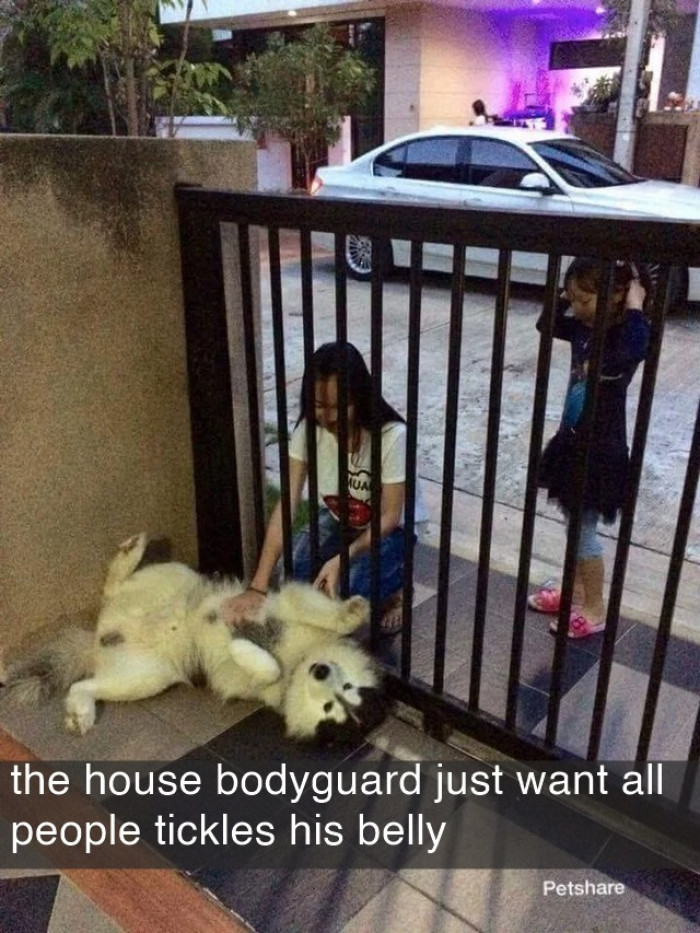 26. Apparently, this furry friend enjoys being tickled