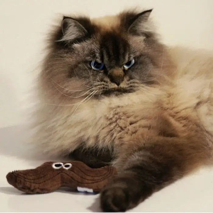 Yes, what are you looking at?