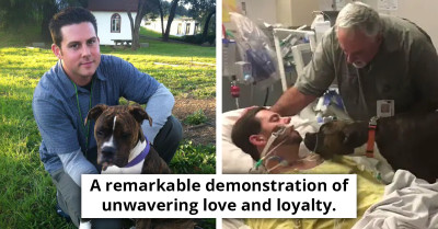 Dog Makes Emotional Visit To Hospital To Bid Farewell To Beloved Owner