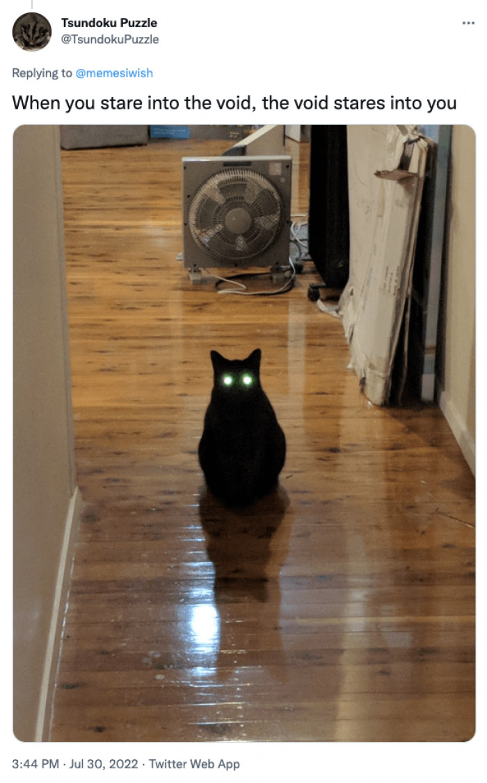 5. Cat be like: "I can see you, hooman. I'm watching all your moves."