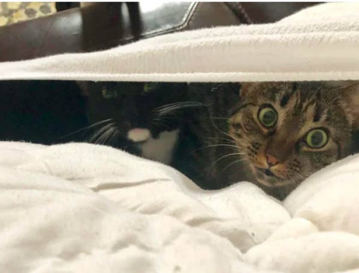 10. Not doing anything suspicious, we tell you...