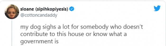 9. I guess being a dog alone is already a tough spot