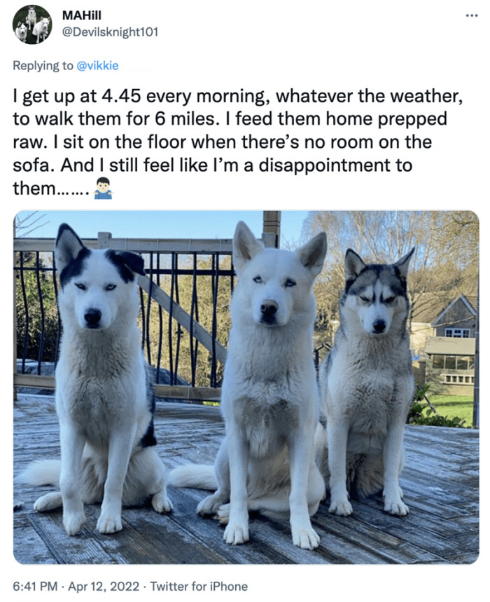 1. Still feeling like a disappointment to them