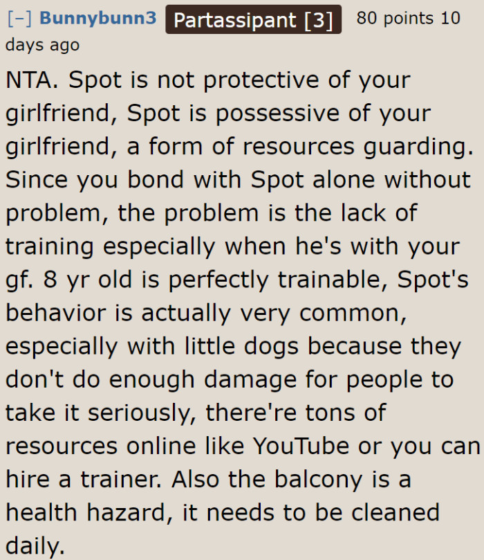 Redditors don't agree with the girlfriend; they believe she can still train her dog.