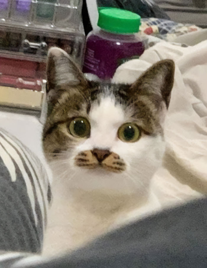 42. The perfect mustache