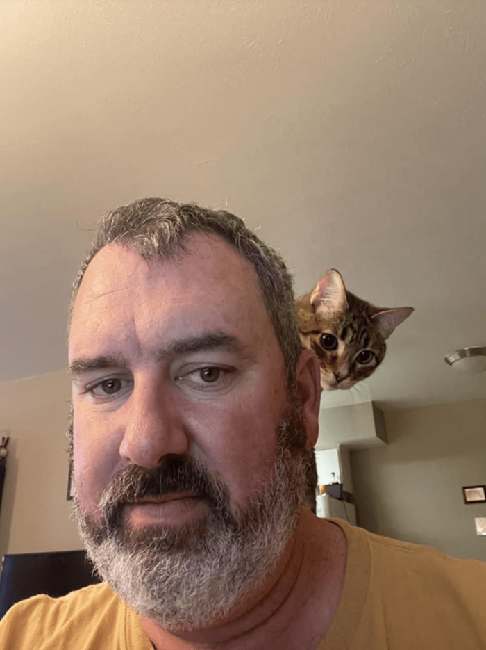 5. Say hi to the camera, kitty... Good girl...