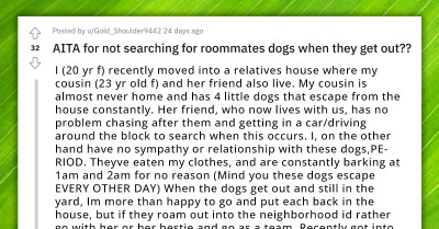 Girl Who Stays In Relative's House Refuses To Search For Cousin's Dogs That Constantly Run Away, Gets Scolded