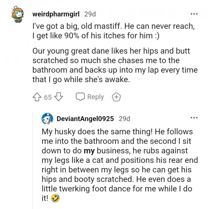 You got to scratch the hips and butt