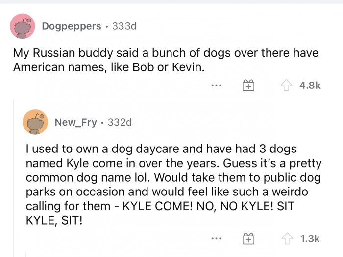 I really can't imagine calling my dog's name something like Kevin.