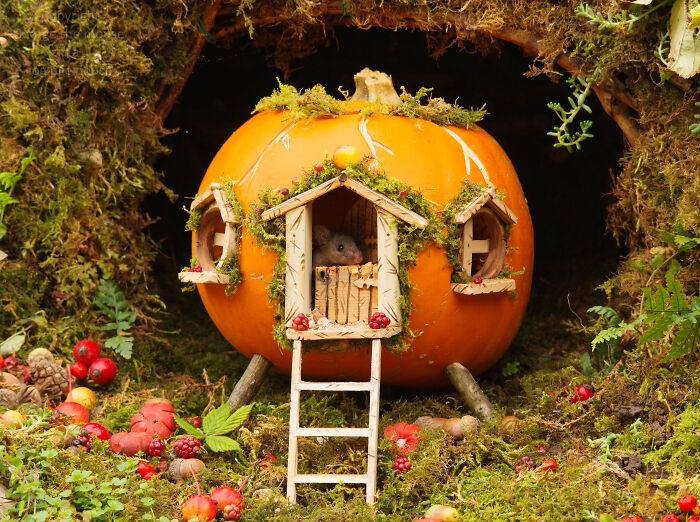 12. The Pumpkin Mouse House Is So Very Spooky