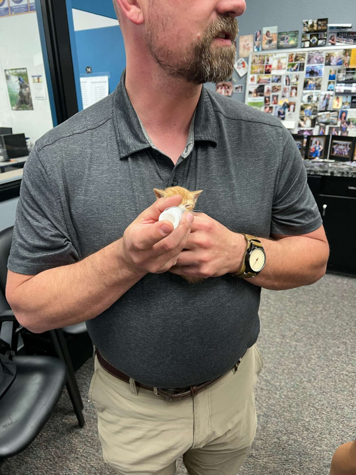 “On a Tuesday, we heard sounds coming from the vents, and we were able to see some kittens on the roof by the air conditioning unit,” Jeremiah Jones, one of the school counselors, says