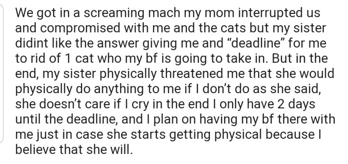 OP and their sister got into a heated argument, which was later quelled by their mom. However, OP's sister still went ahead to threaten them physically if they didn't rehome at least one cat before her 