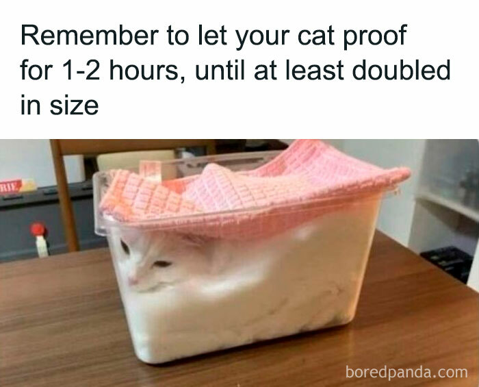 23. Lol... So accurate