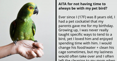 Redditor's Pet Cockatiel Gets Loud And Causes Chaos When She Leaves, So Her Mom Threatens To Get Rid Of It