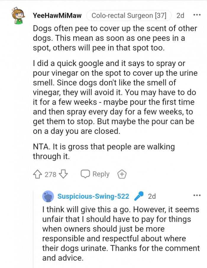 Spray or pour vinegar on the spot to cover up the smell