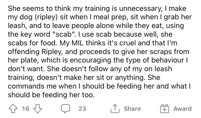 The MIL continues to feed the dog scraps from her plate. She doesn't enforce any of the OP's rules for the dog and tries to control what times the dog is fed and walked.