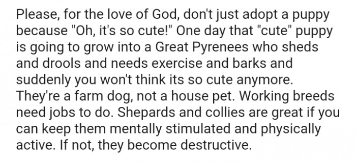 They're a farm dog, not a house pet