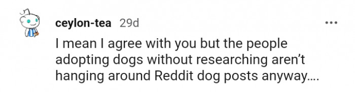 The people that adopt dogs without researching