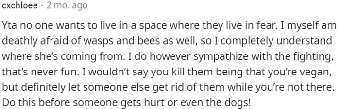 Consider seeking assistance from someone else to remove the wasps to ensure a fear-free living space.