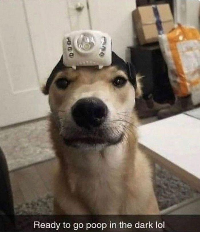 2. "What my husband sends me while I'm at work."