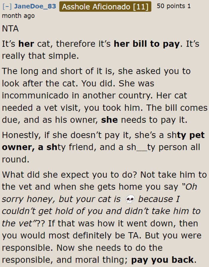 This Redditor described the roommate well as a person and as a cat owner.