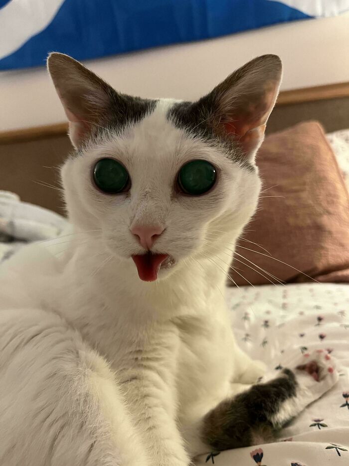 46. Beamed down for snacks. Stayed for the drama.