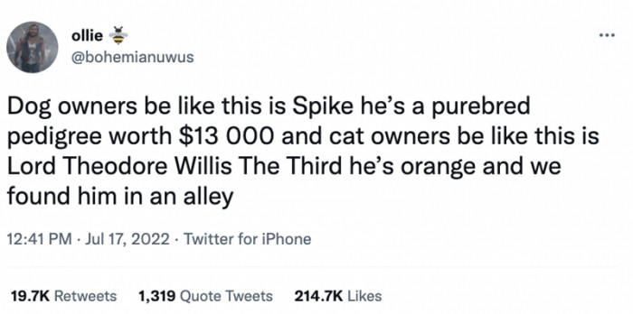 1. Cats are royalty. It’s in their attitude. Of course, it’s in their names too.