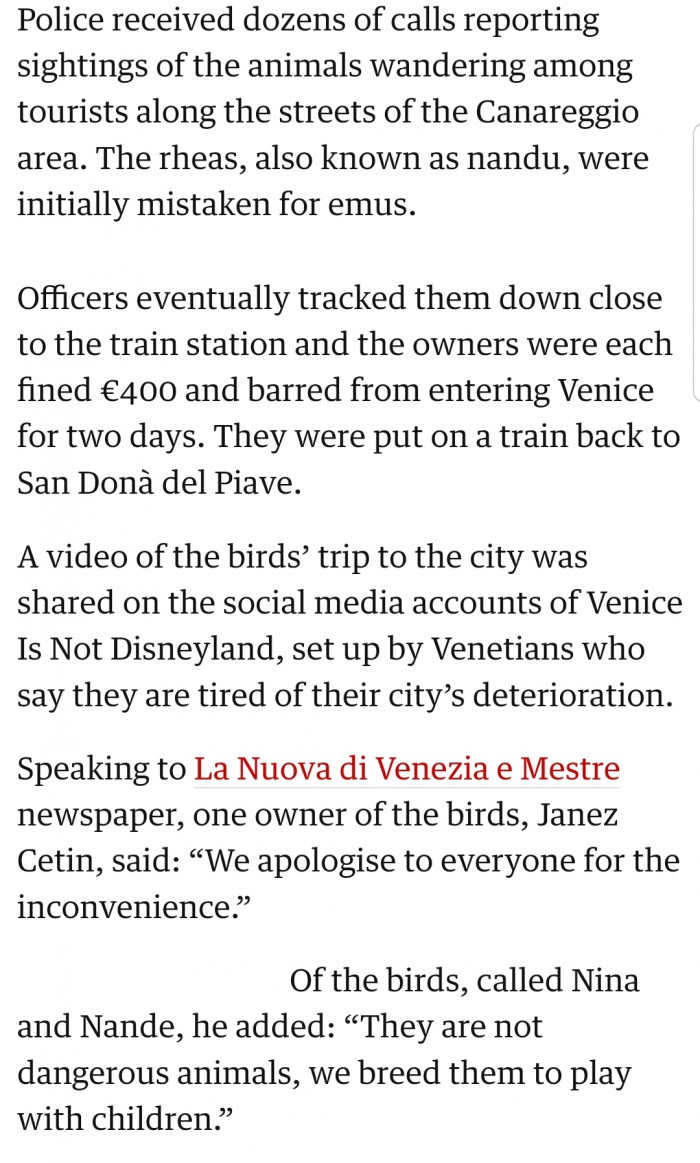 Authorities were contacted about these unusual visitors. You can bet their owners had some questions to answer and a hefty fine to pay