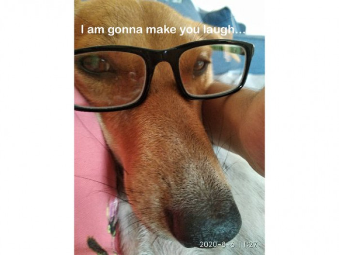 16. "They are gonna make you laugh with the silliest acts…"