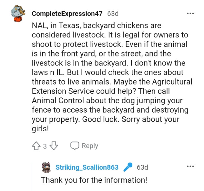 Calling animal control about the dog jumping the fence