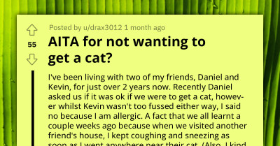 Allergic Man Stunned by Roommate's Decision to Get a Cat and Simply Make Him Take Allergy Pills