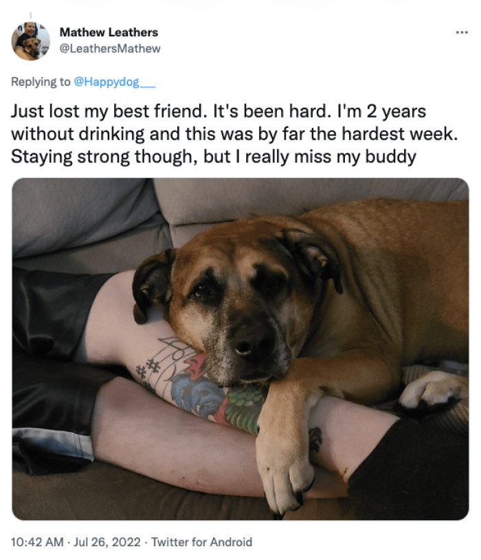 8. We are saddened by this person's loss, and we hope that someday they can pull through.