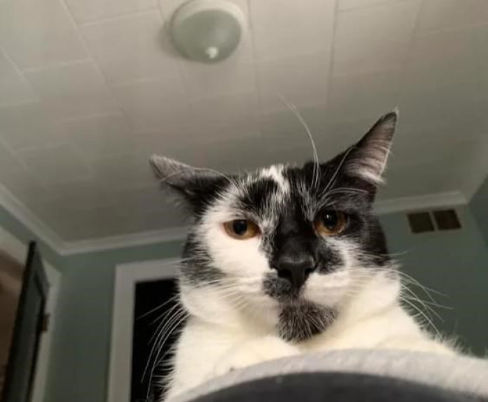 6. Okay, what did I do this time?