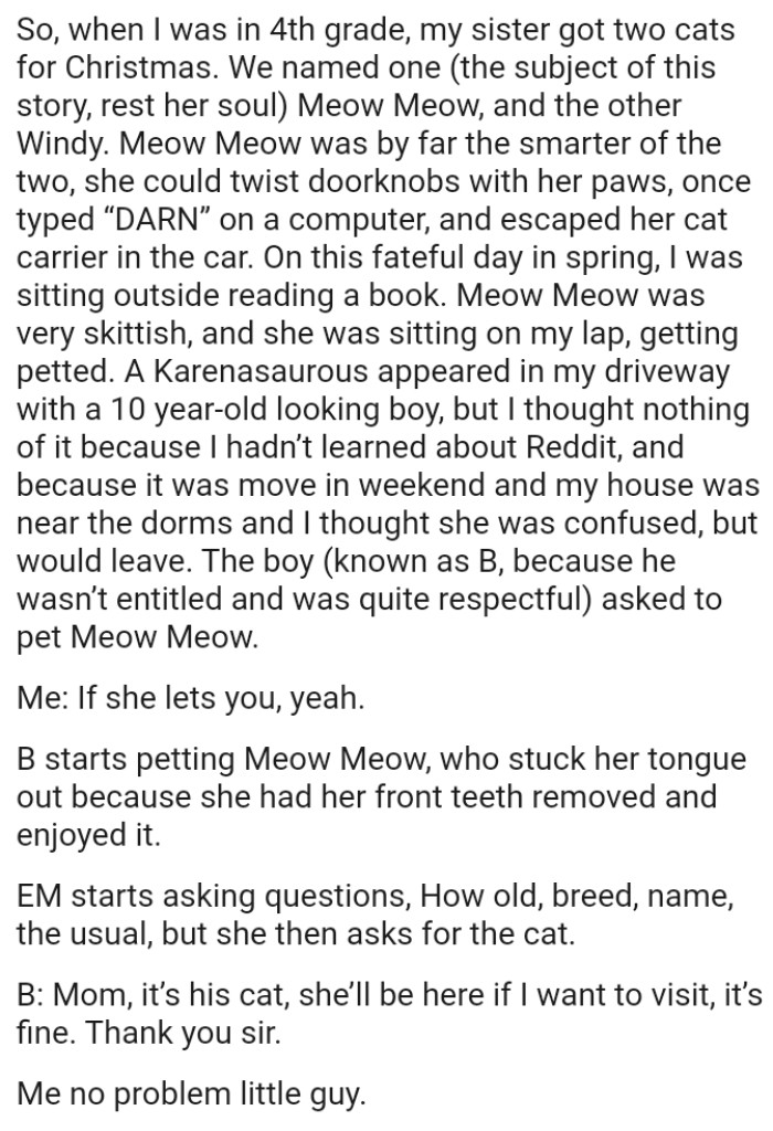 A Karenasaurus appeared in the OP's driveway with a 10-year-old-looking boy, but he thought nothing of it