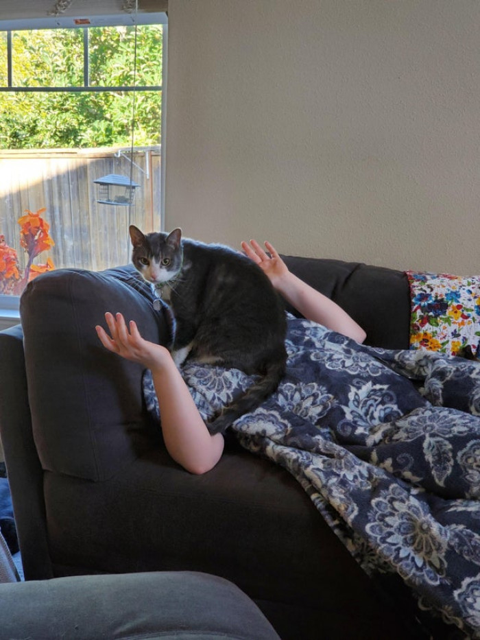 If you don't nap with Sammy, you don't nap at all.