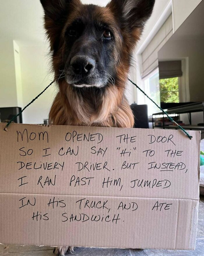 "He Was Starving."