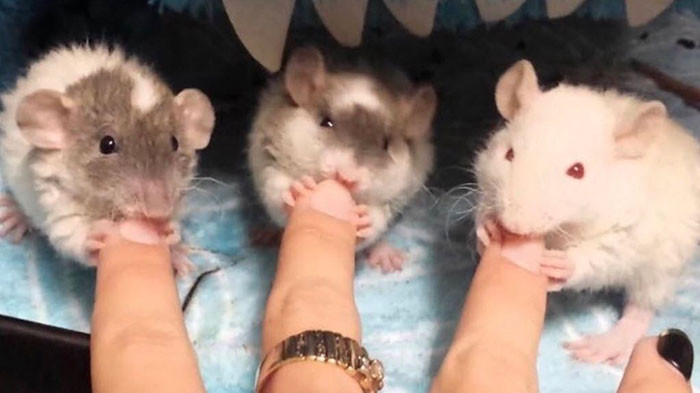 32. Who else can give you a better manicure?