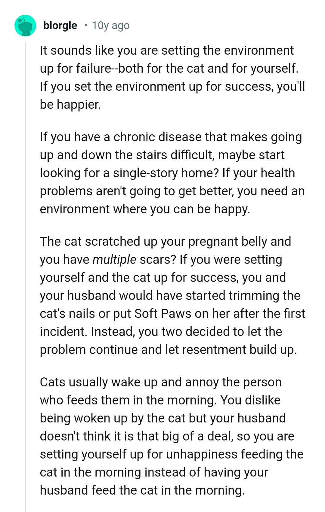 The Cat Scratched the OP's Pregnant Belly
