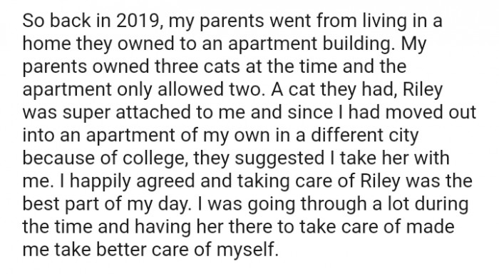 And the story begins