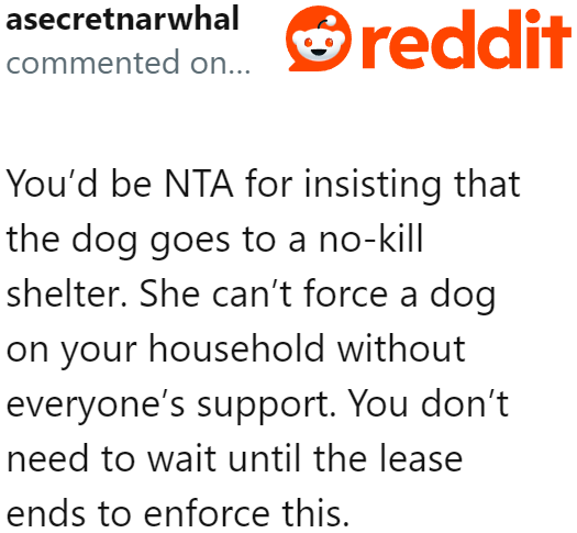 It's 3 vs. 1. The Roommate Cannot Force It If Her Other Roommates Won't Allow a Dog in the House