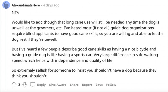 This is what blind people say about guide dogs: