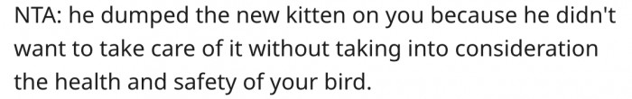 6. Her fiancé doesn't want to shoulder the responsibility of owning a kitten.