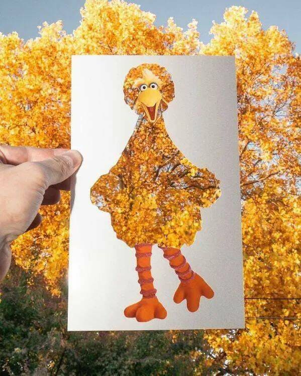 “I’m the biggest bird on Sesame Street, and I’m proud of it!”