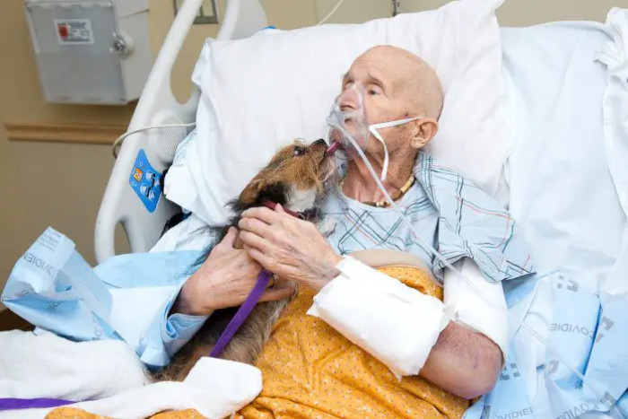 Vincent named him after the distinctive white patch of fur on his chin